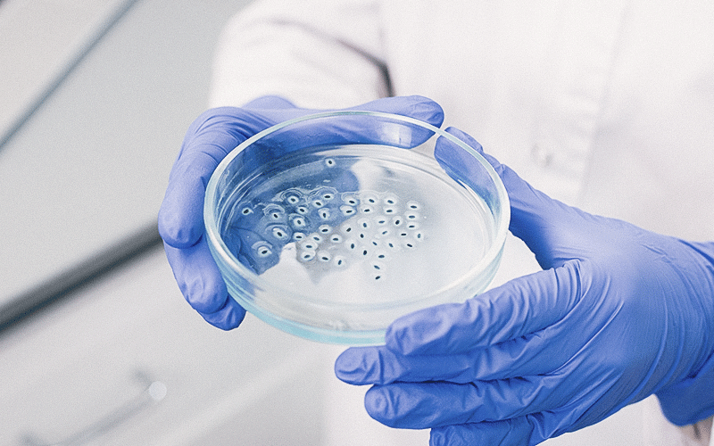 Enfrentamento do Candida auris e de outros microrganismos multirresistentes depende de uma Odontologia mais preparada e reconhecida